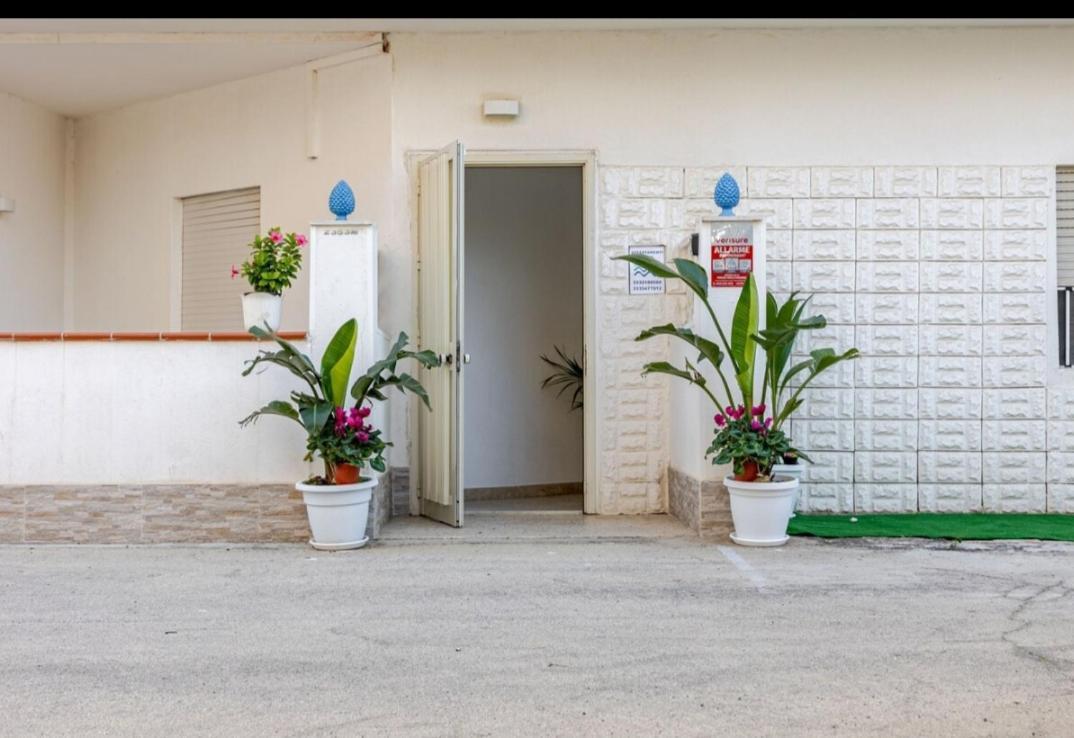 " Limoncello" Appartamento A 150 M Dal Mare ! Perfetto Per Famiglie E Coppie Alcamo Exteriér fotografie